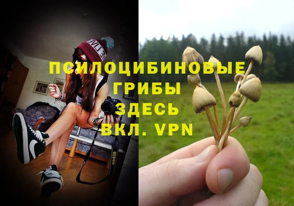 гидропоника Майский