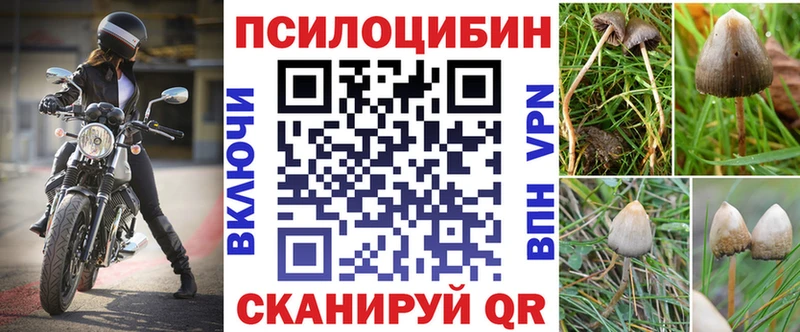Купить закладки  Кувшиново  Галлюциногенные грибы Magic Shrooms 